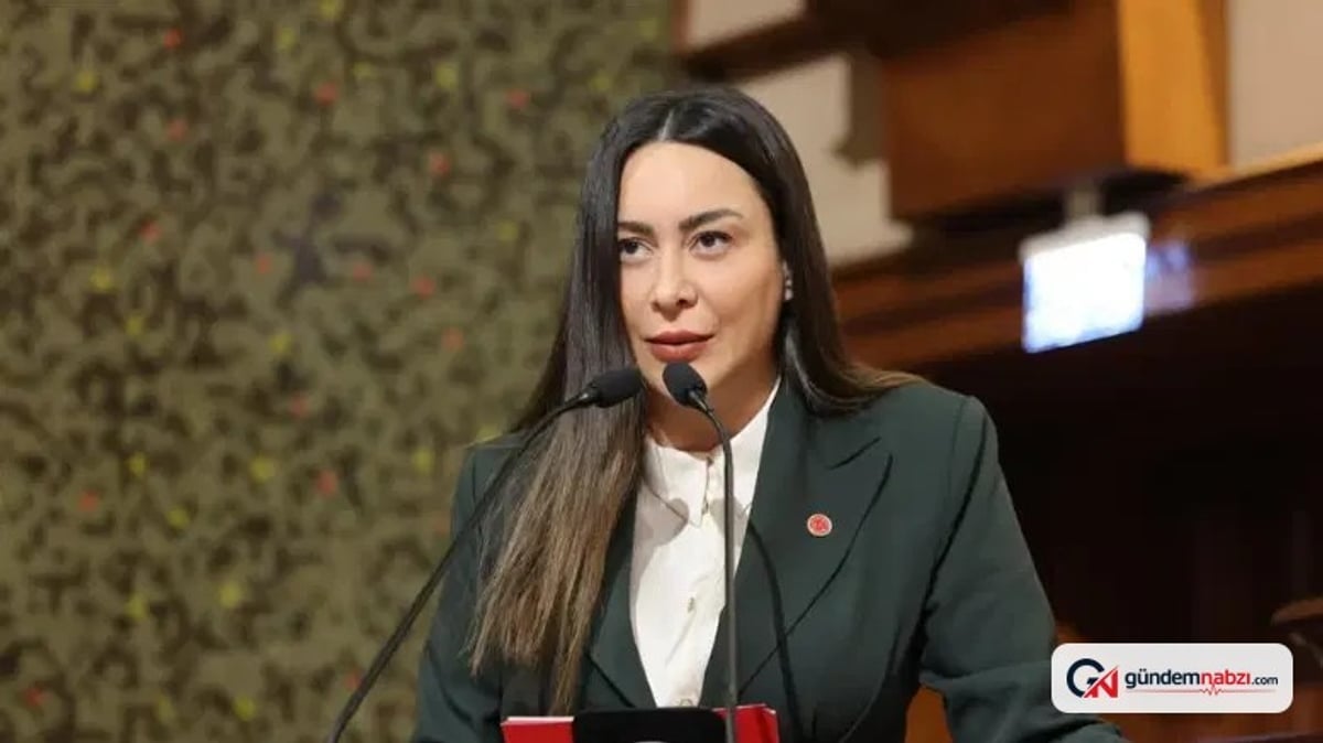 İstanbul'da suç örgütü soruşturmasında CHP'li Meclis üyesi avukat tutuklandı