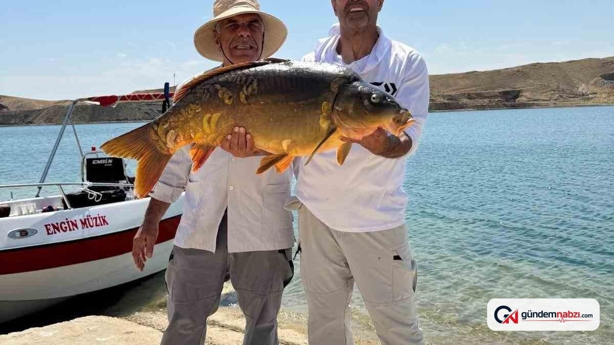 Elazığ'da 27 kiloluk sazan yakalandı