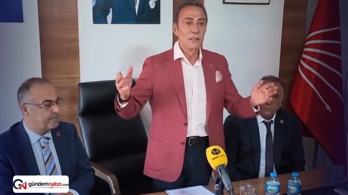 Berhan Şimşek, Zülfü Livaneli'yi sert sözlerle eleştirdi