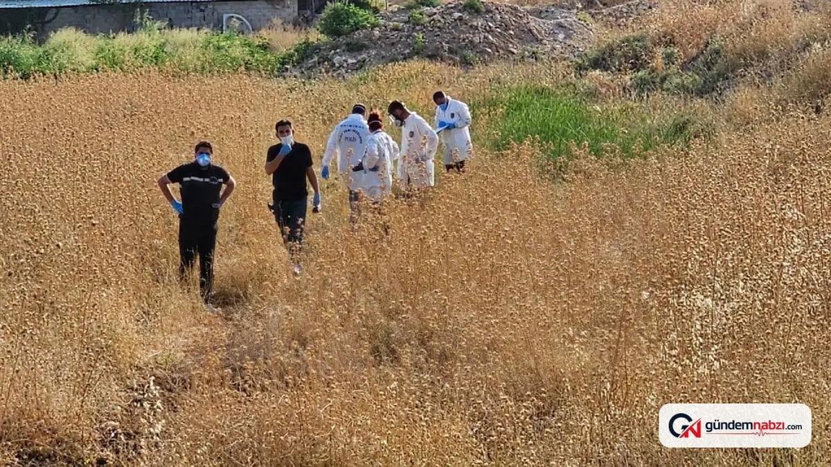Şanlıurfa'nın Yenice Mahallesi'nde tarlada erkek cesedi bulundu