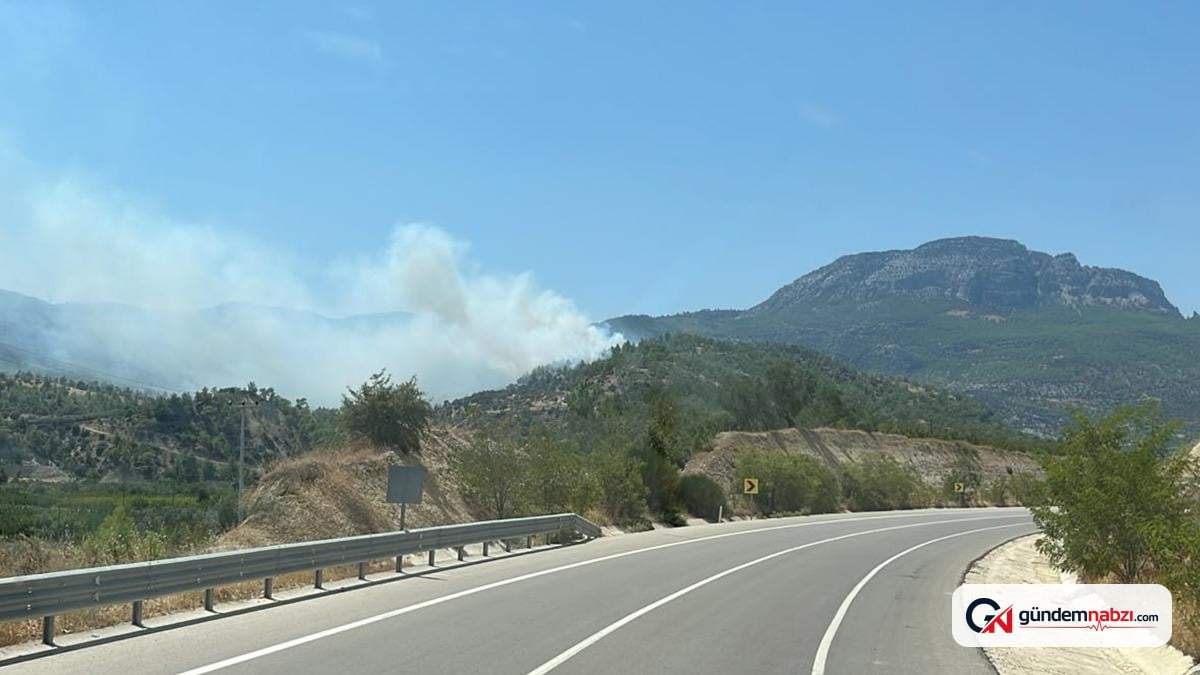 Mersin'in Mut ilçesinde orman yangını kontrol altına alındı