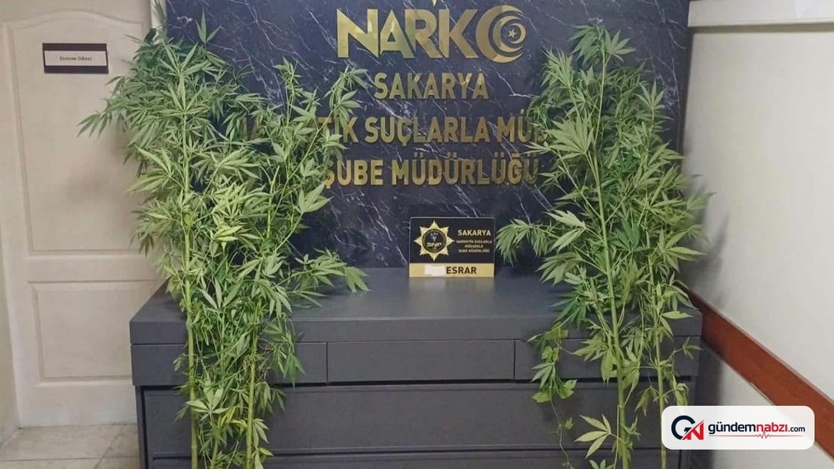 Sakarya'daki uyuşturucu operasyonunda 1 şüpheli tutuklandı