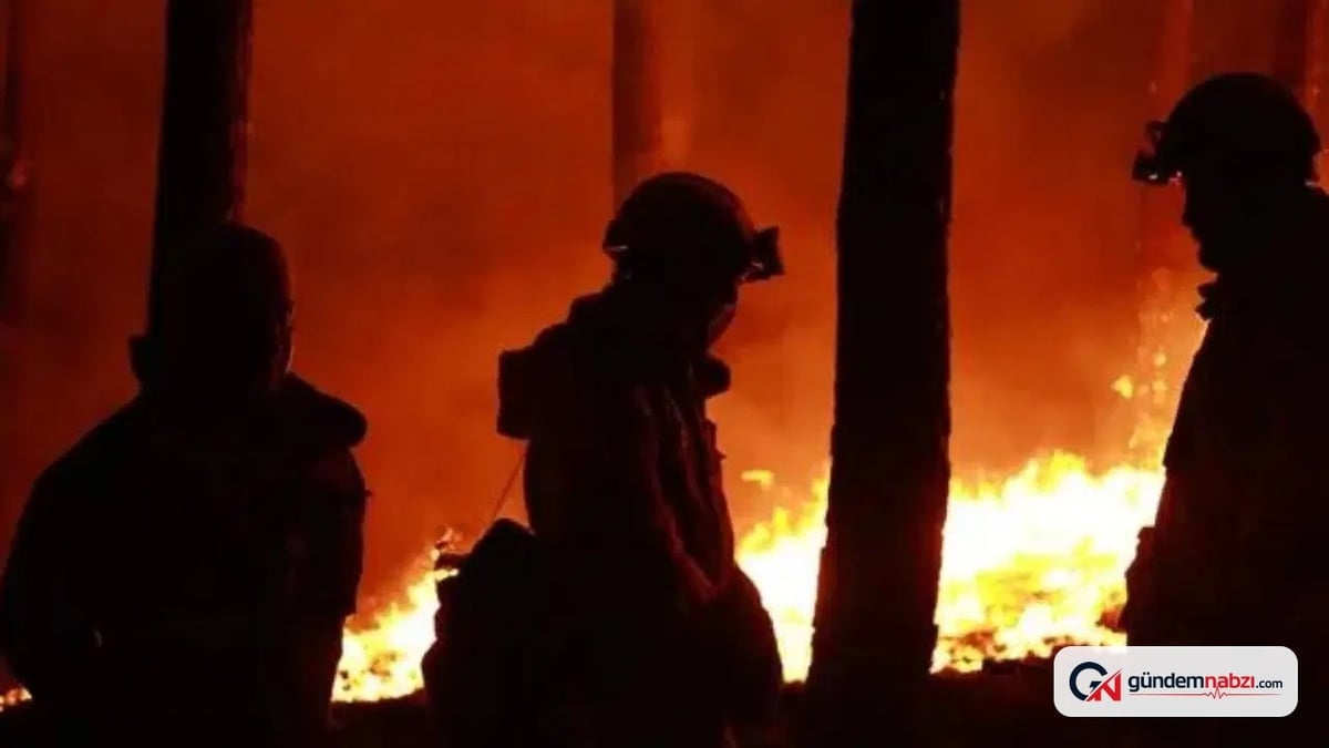 Belçika'da tarihinin en büyük orman yangını sürüyor