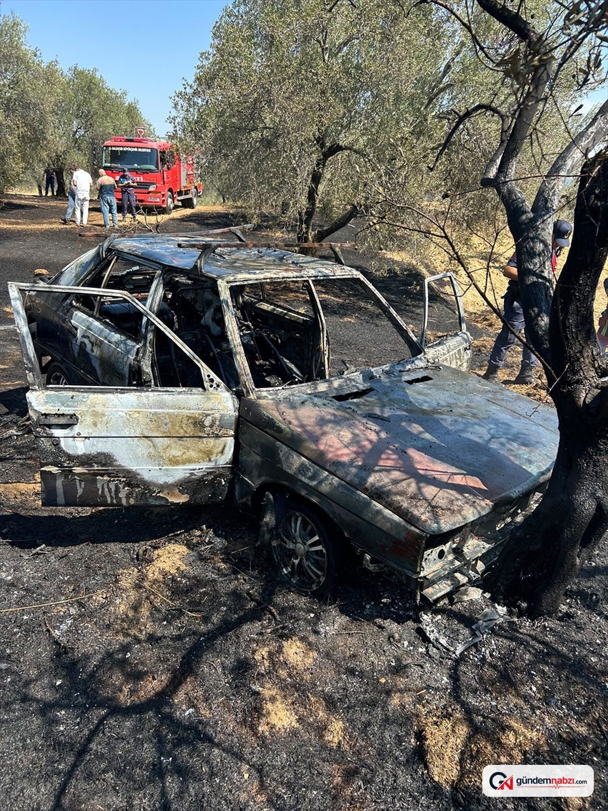 Balıkesir'de otomobilden zeytinliğe sıçrayan yangın söndürüldü