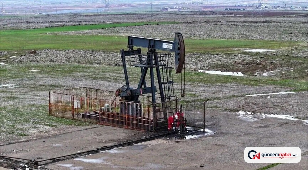 TPAO, Adıyaman ve Şanlıurfa'da 5 yıl petrol arayacak