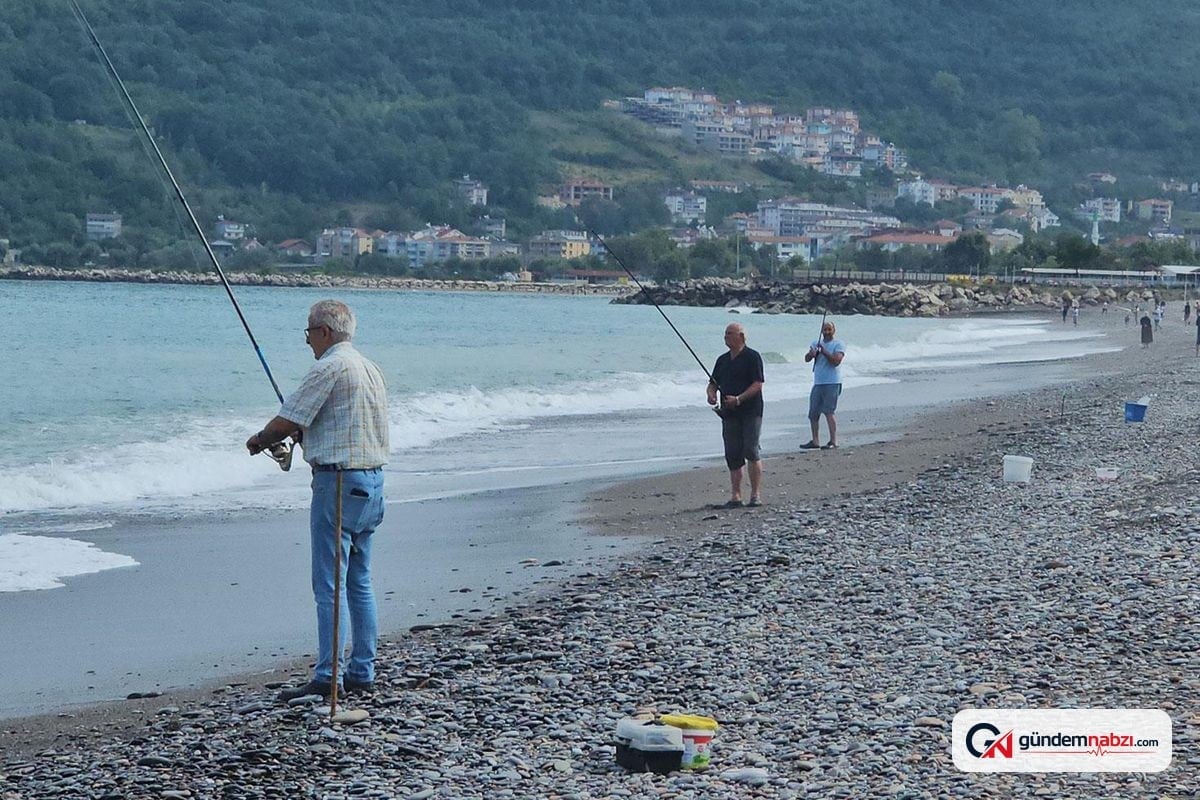Kastamonu'da Çapari yasağı kalktı, kovalar istavritle doldu