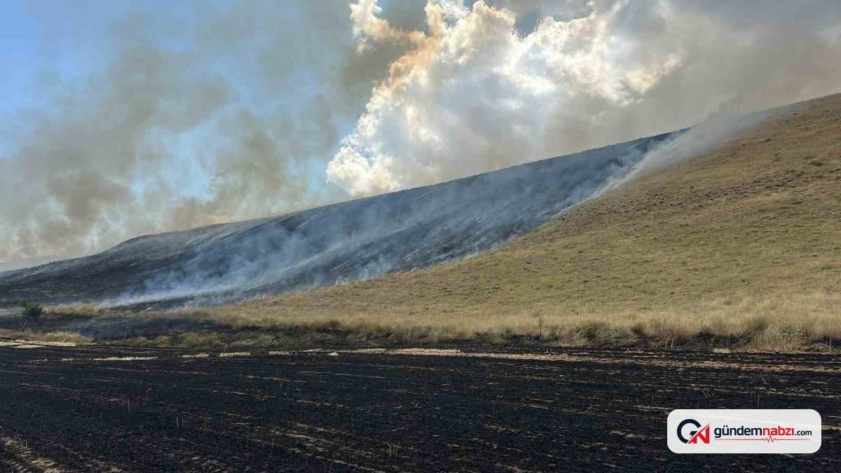 Bitlis'te örtü yangını: 400 dönüm alan yandı