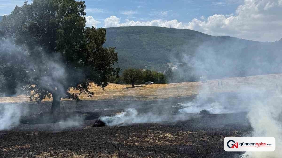 Bolu'da balya makinesinden kıvılcımlar yangına neden oldu