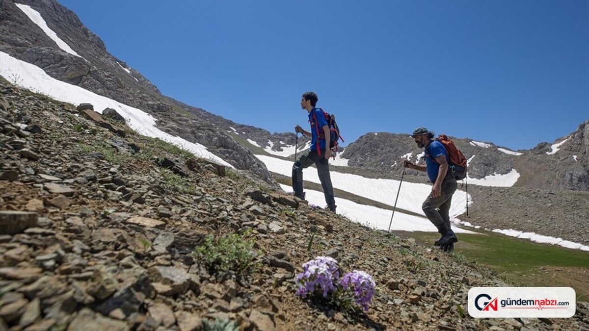 Tunceli'de doğa turları ve dağcılık faaliyetleri yeni rotalar açtı