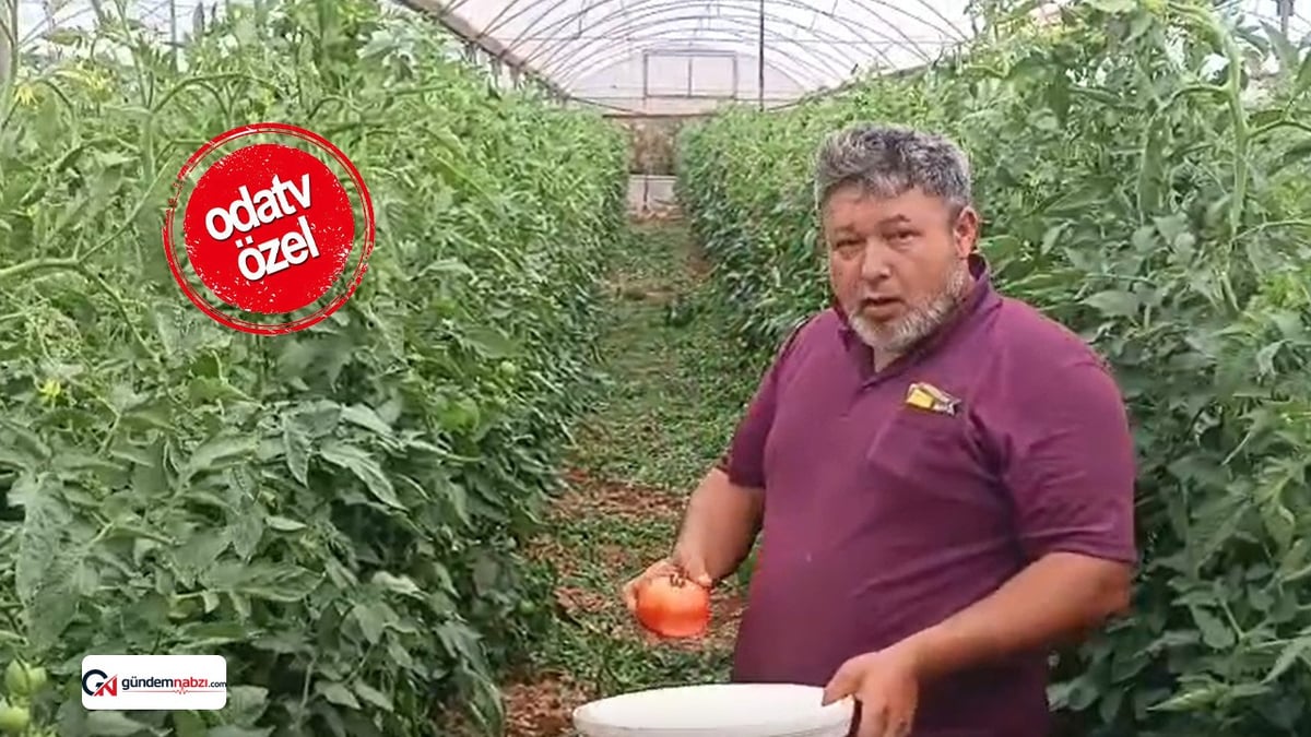 Mersin'de üreticilerden fiyat tepkisi: Tarlada 38 lira markette 138 lira