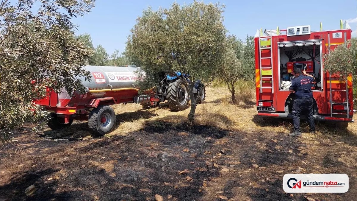 Muğla'da yangın bilançosu açıklandı: Çoğu insan kaynaklı