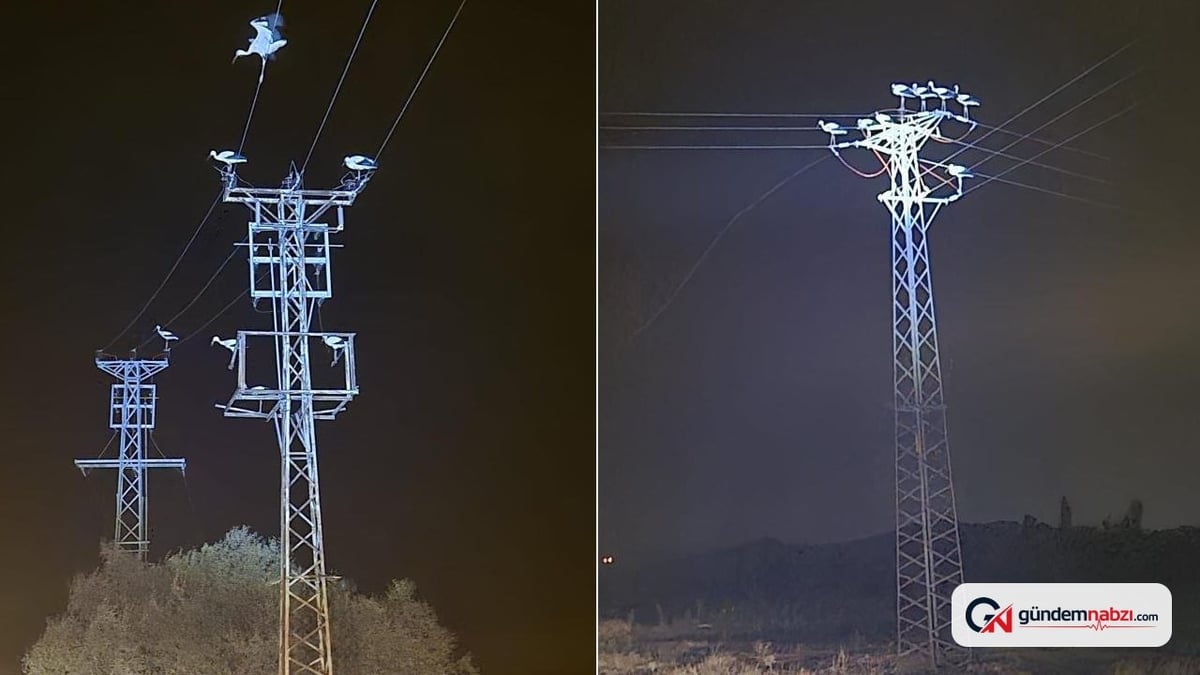 Leyleklerin göçü Afyonkarahisar'da 3 beldeyi elektriksiz bıraktı