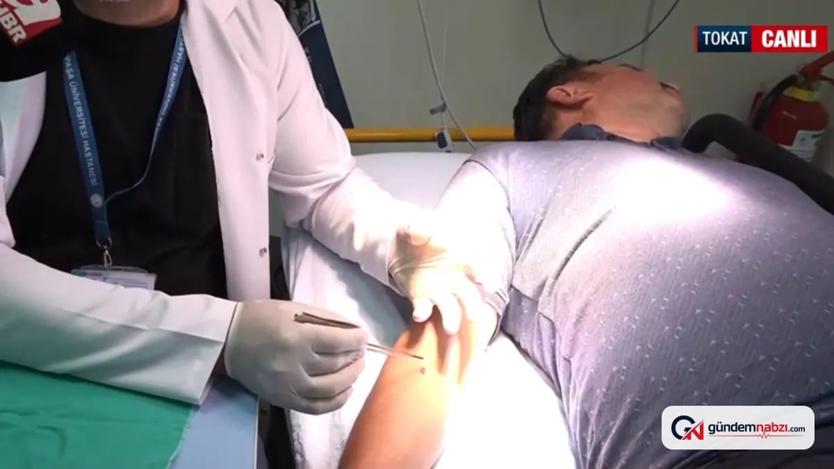 Kene ısırığında ilk müdahale için uzman önerileri