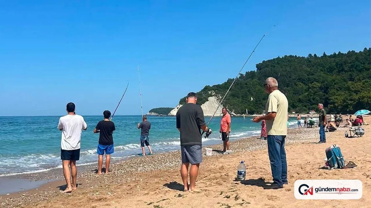 Bartın'da deniz suyu sıcaklığı düştü, oltalar doldu