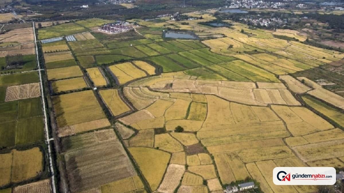 Hırvatistan, genç iş gücünü çekmek için bedava arsa sunuyor