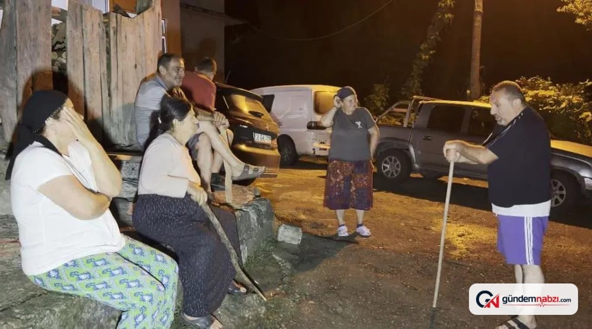 Yaban domuzları tarlaları mahvediyor, çiftçiler nöbet tutuyor
