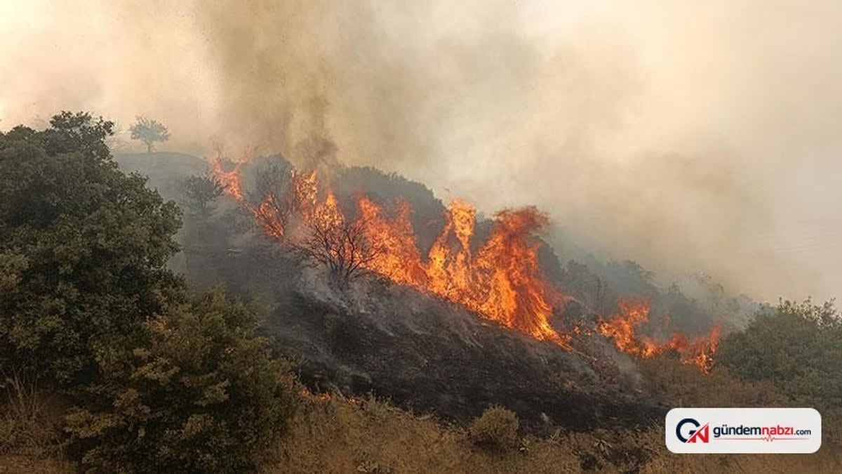 Manisa Turgutlu'da makilik alanda yangın kontrol altında