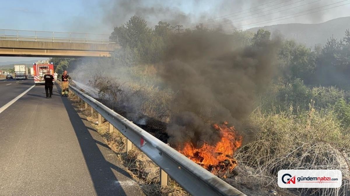 Otoyolda yangın meydana geldi: Yol kenarına atılan izmarit sebep oldu