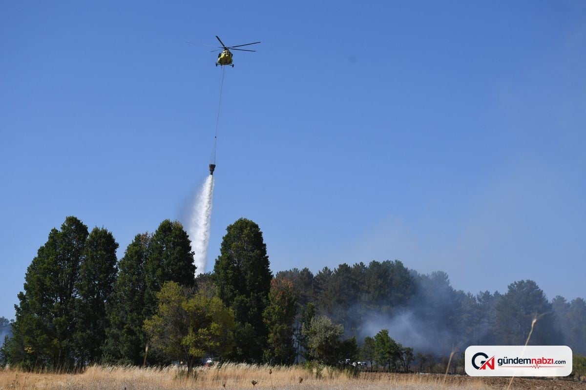 Kütahya'da orman yangını kontrol altına alındı