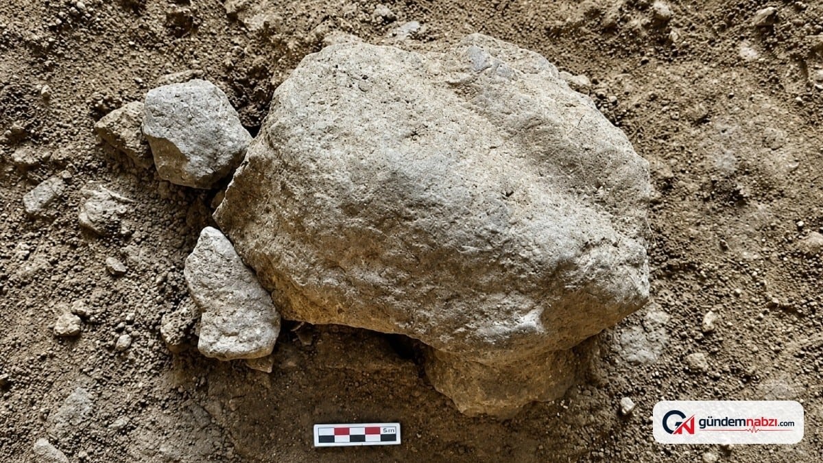 Bilecik'te 14.500 yıllık kaplumbağa heykelcikleri bulundu