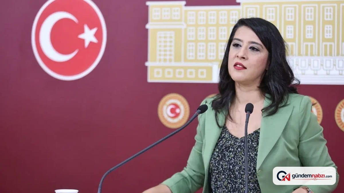EMEP'li Karaca, Sayıştay'daki usulsüzlük iddialarını Meclis'e taşıdı