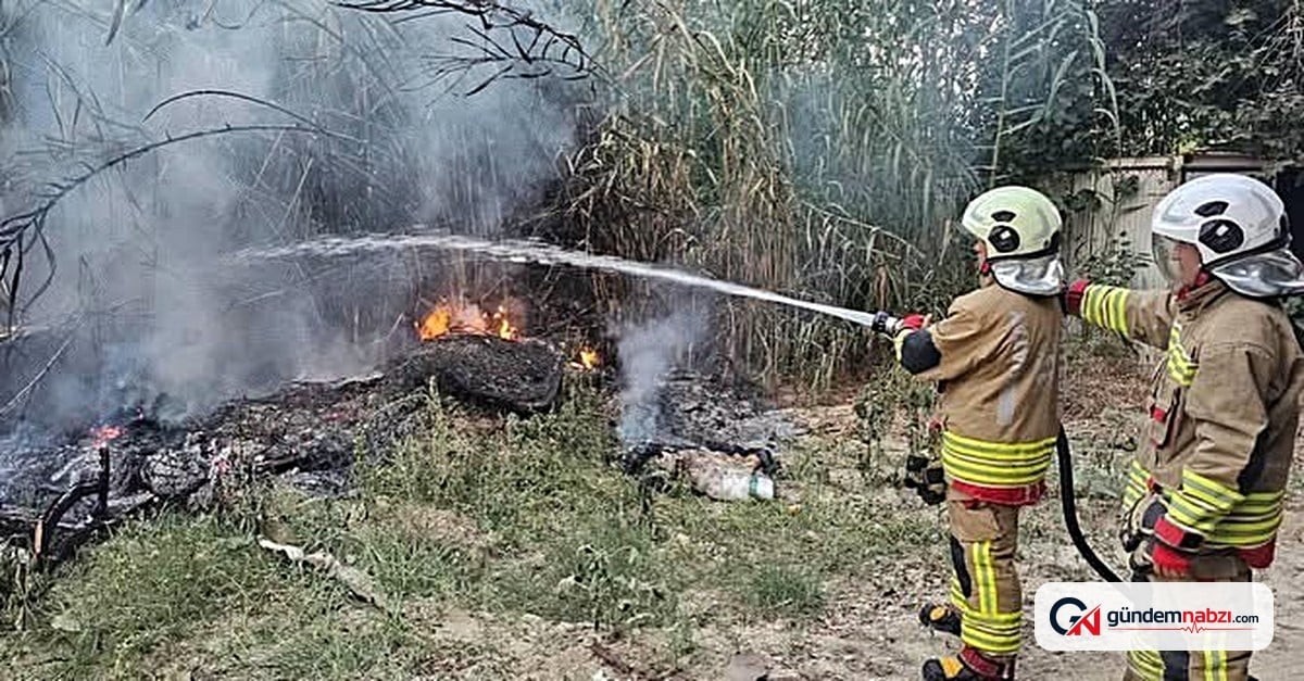 Defne'de sazlık yangını hızlı müdahale ile söndürüldü
