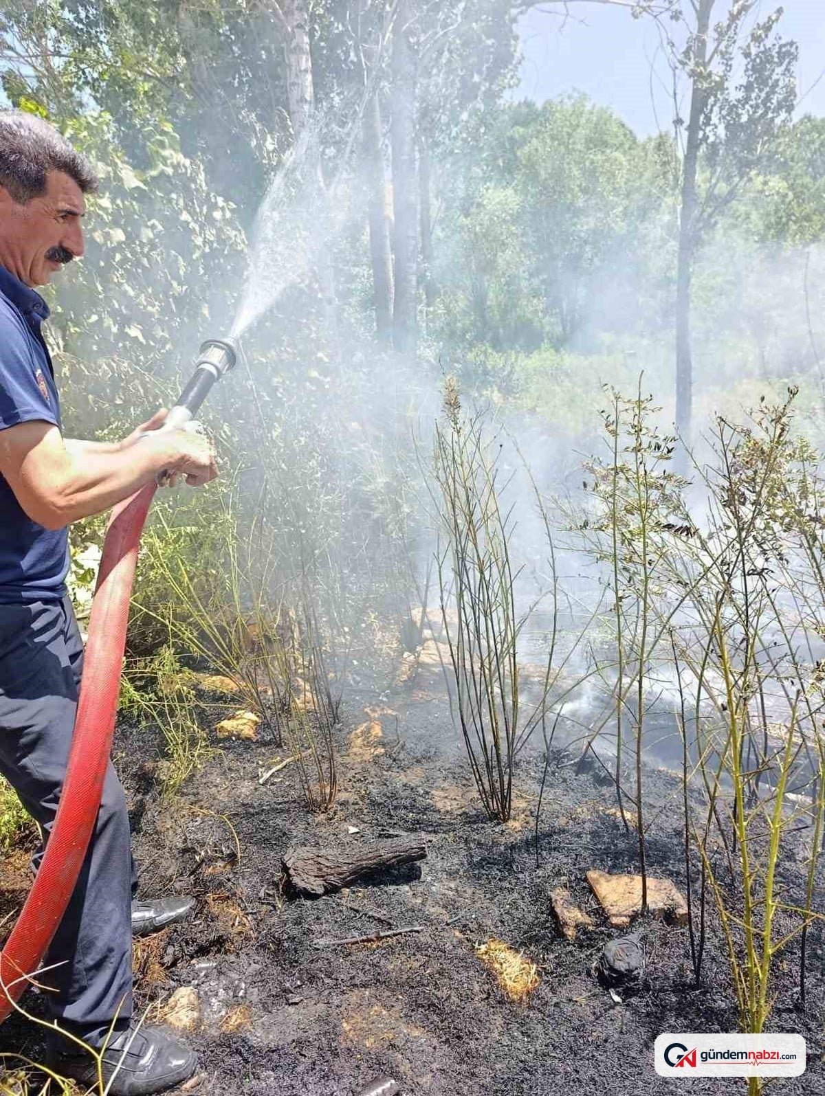 Van'da ağaçlık alandaki yangın söndürüldü
