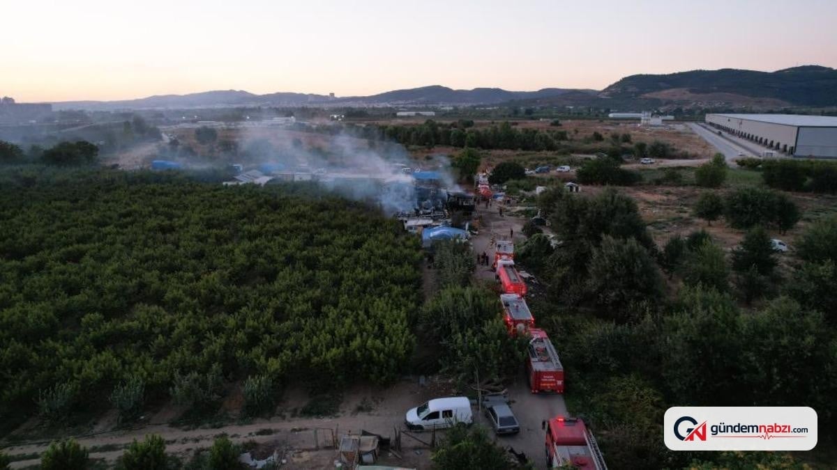 Bursa'da Çiftlik yangını çıktı