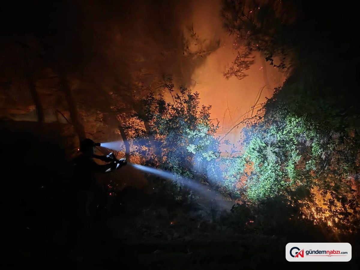 Hatay'da Orman yangını kısa sürede kontrol altına alındı