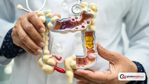 Uzman isim bağırsak sağlığı için günlük 30 gram lifi işaret etti