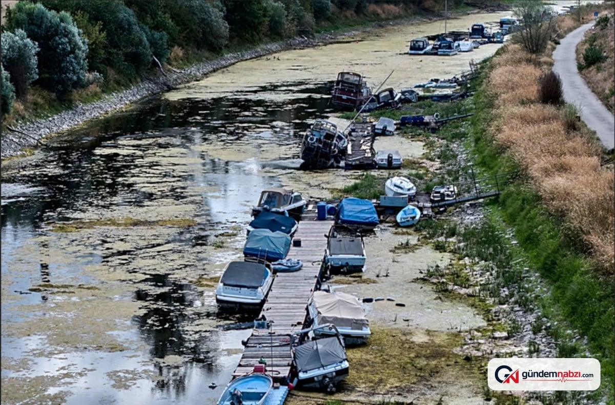 Almanya'da aşırı sıcaklar 14 bin kişinin ölümüne yol açtı