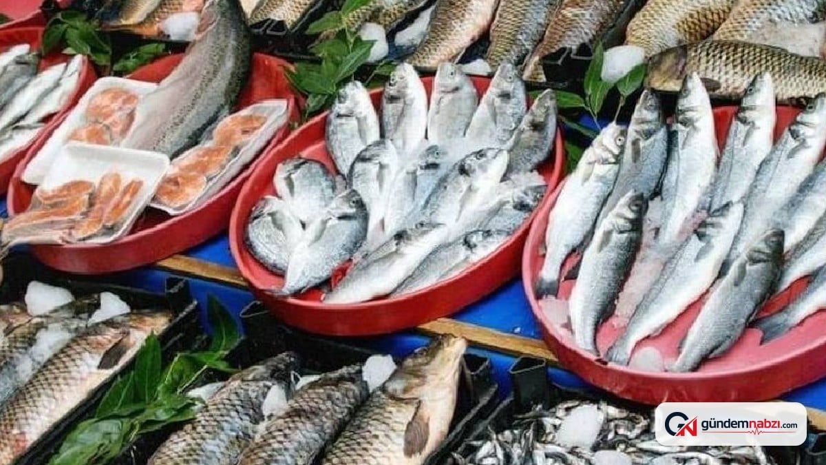 Muğla'da yetiştirilen çipura ve levrek 70 ülkede sofraları süslüyor