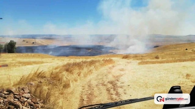 Yozgat'ta anız yangını çıktı