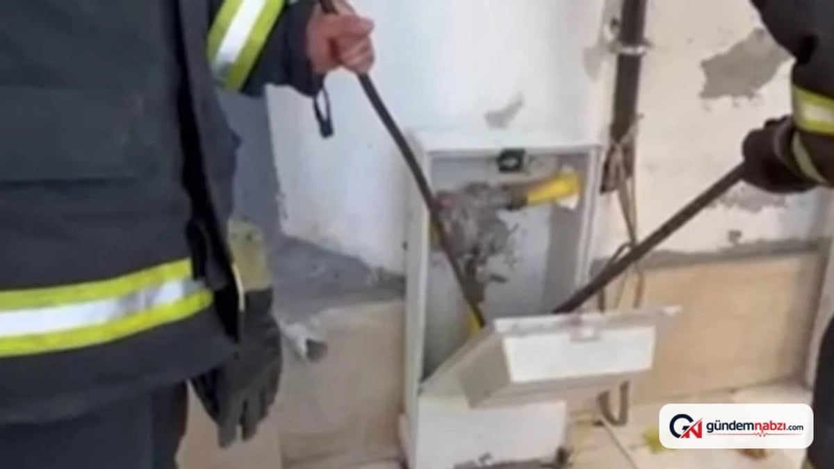 Doğalgaz kutusuna giren yılan, itfaiye ekipleri tarafından çıkarıldı
