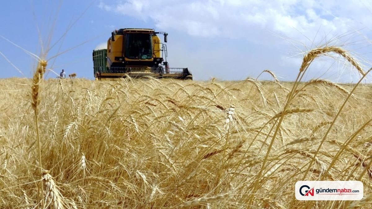 Tarımsal destek ödemeleri çiftçilerin hesaplarına aktarılıyor