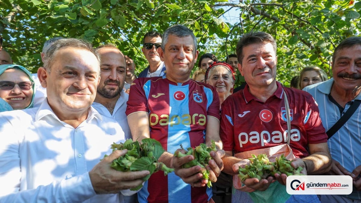 Özgür Özel Trabzon'da fındık topladı