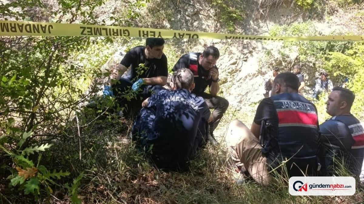 Samsun'da koyun otlatmaya giden çoban ormanda ölü bulundu