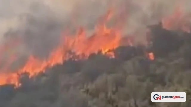 Antalya Kaş'ta makilik alanda yangına havadan ve karadan müdahale ediliyor