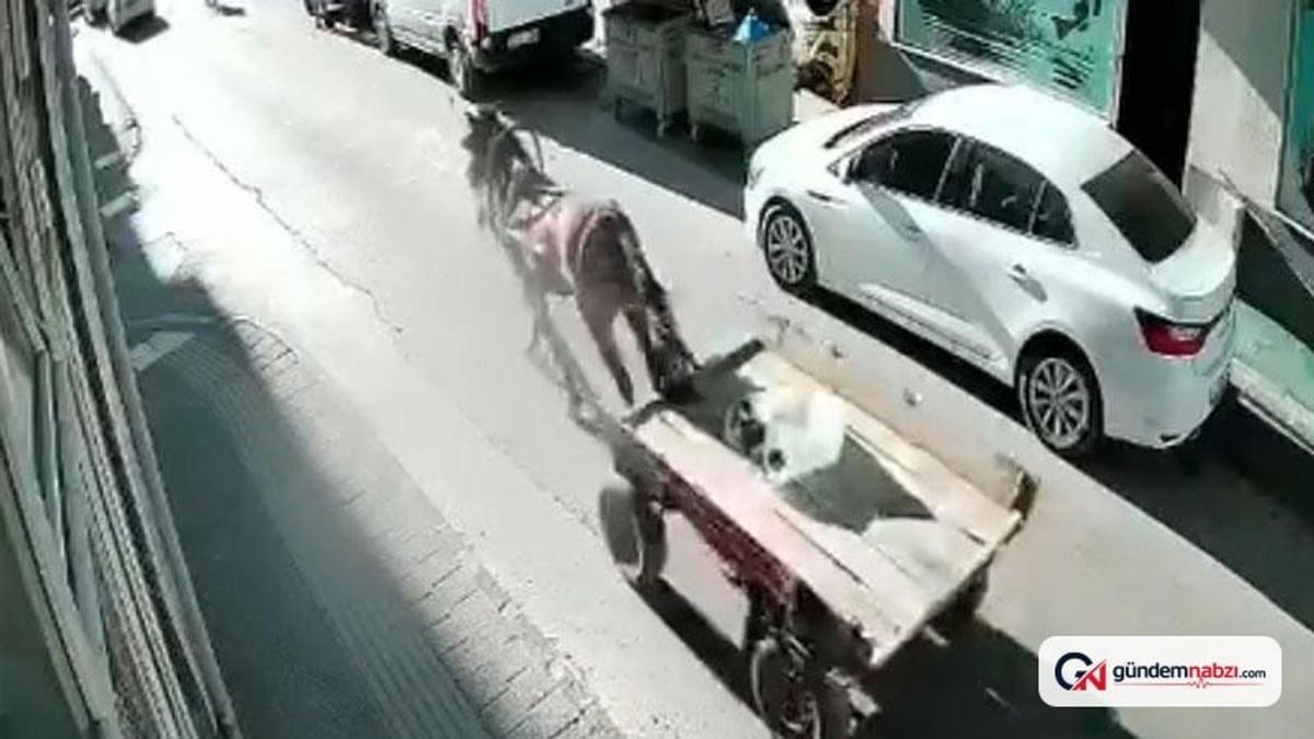 Edirne Uzunköprü'de sürücüsüz at arabası otomobile çarptı