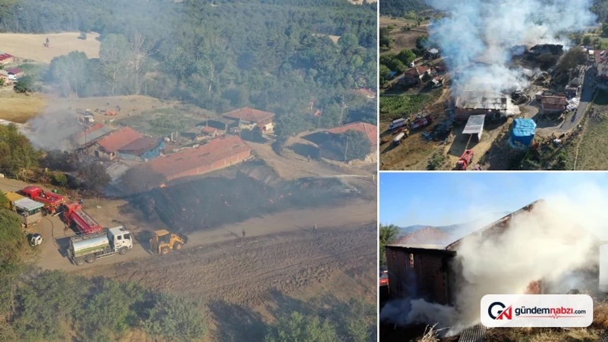 Kastamonu İhsangazi'de yangın: 14 büyükbaş hayvan telef oldu