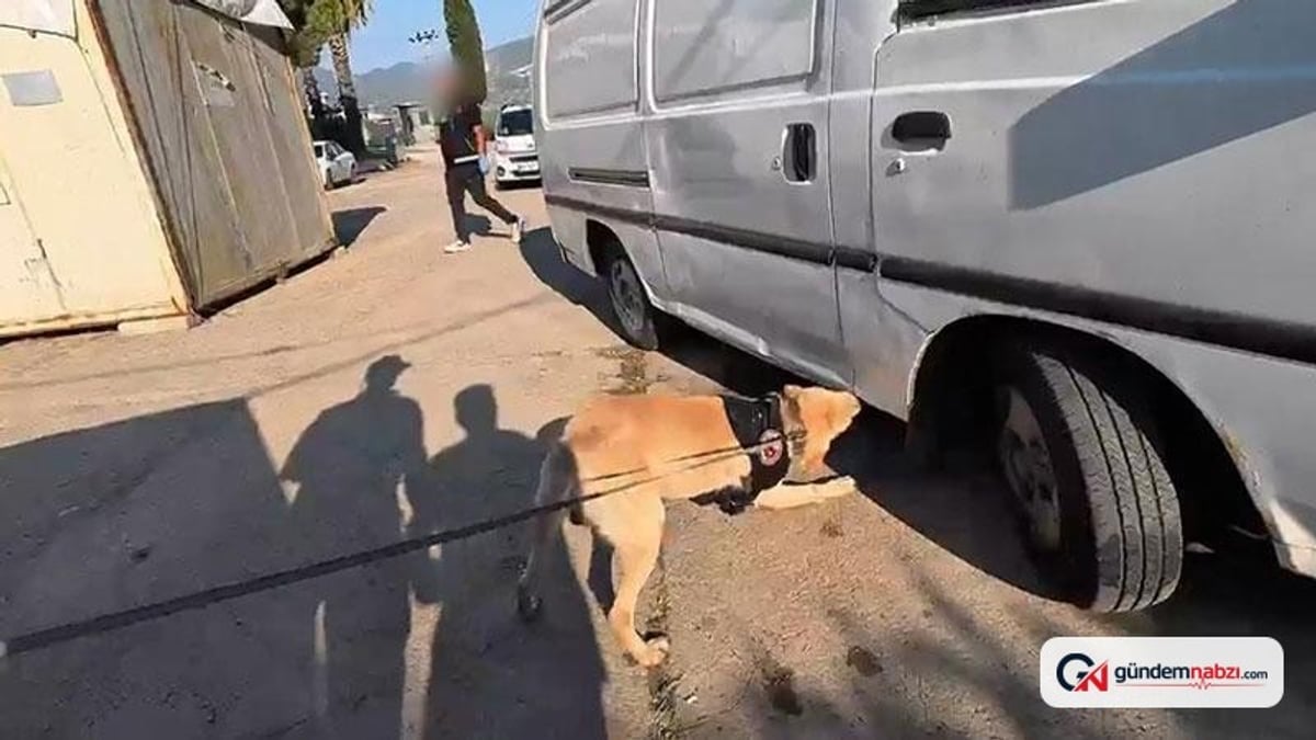 Muğla'da Kamyonette 2 kilo kokain ele geçirildi