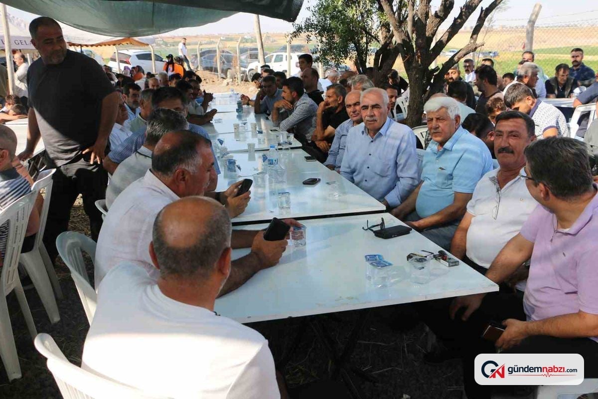 Narin Güran mezarı başında anıldı