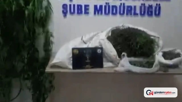 Bingöl'de Uyuşturucu operasyonunda tüfek ve esrar yakalandı