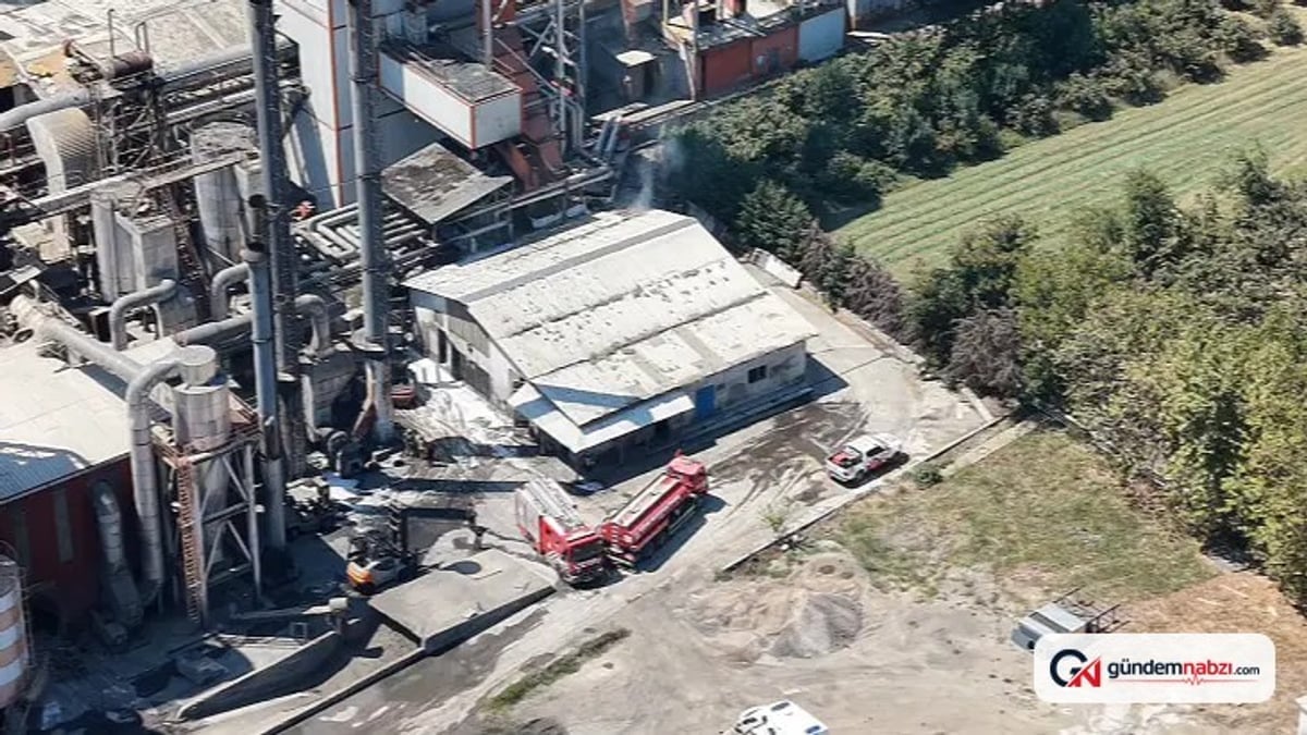 Düzce'de kereste fabrikasında yangın çıktı