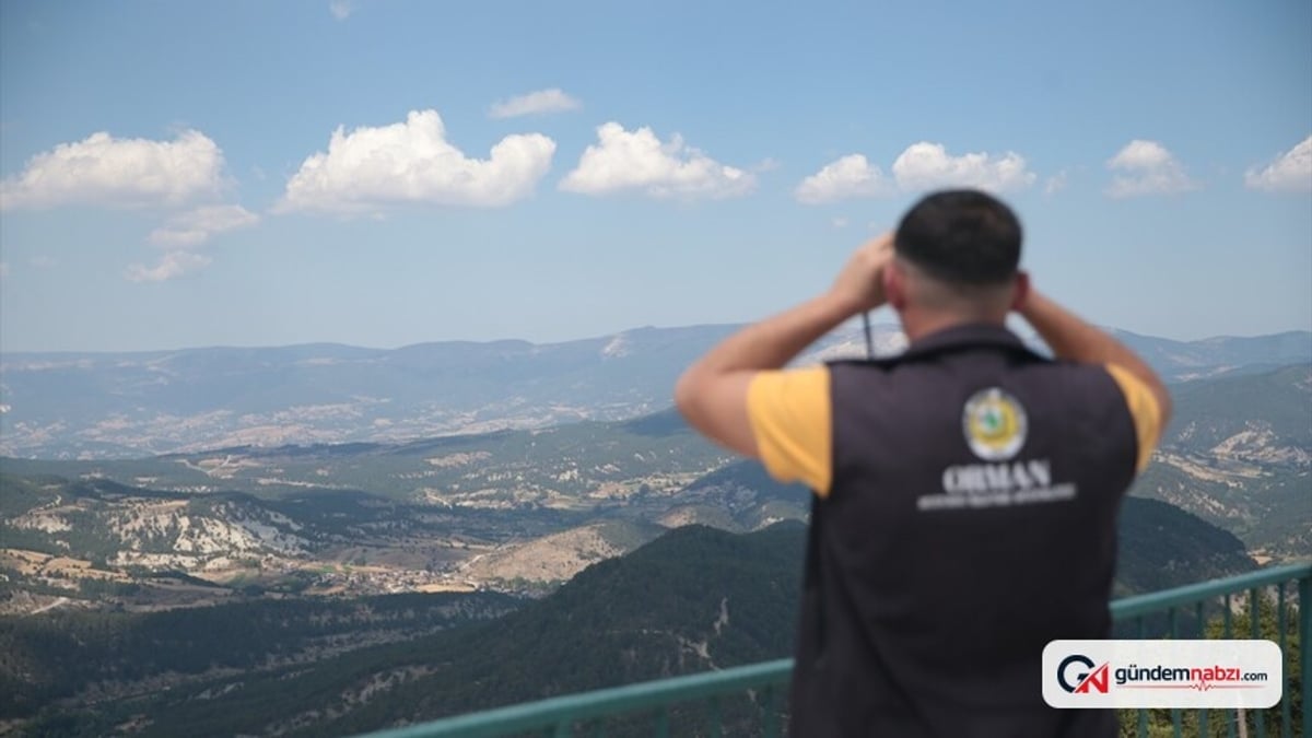 Bolu ve Düzce'de 656 bin hektar orman gözetimde