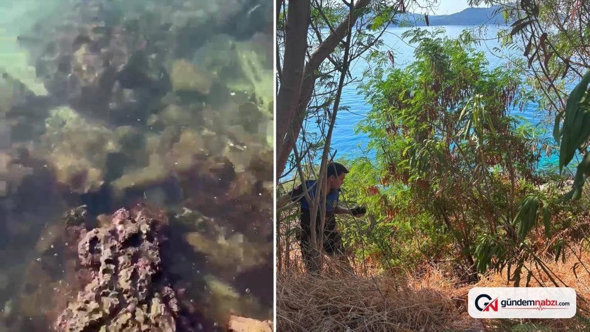 Antalya Kaş'ta denize atık su karıştıran ASAT'a ceza kesildi