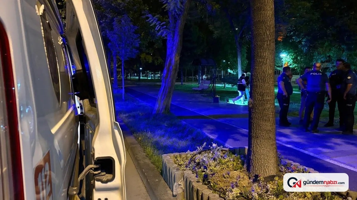 Kayseri'de otostopla alınan şahıslar dehşet saçtı: Kalbinden bıçaklandı