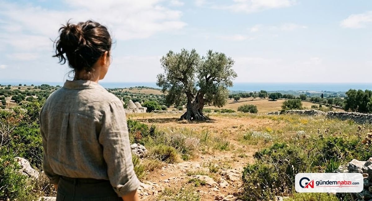 Puglia'daki 3000 yıllık zeytin ağacı hayrete düşürüyor