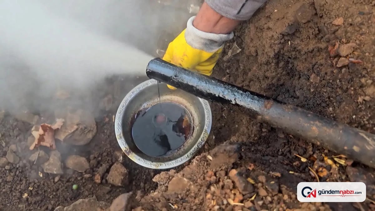 Özel izinle sedir köklerinden sıvı katran üretiliyor