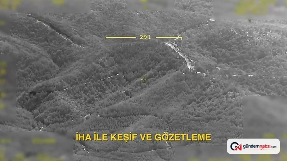Jandarmadan havadan orman yangını gözetlemesi